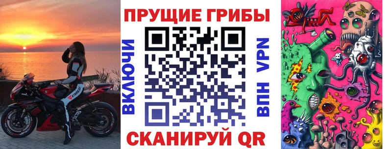 где продают Апшеронск hydra Псилоцибиновые грибы Psilocybe